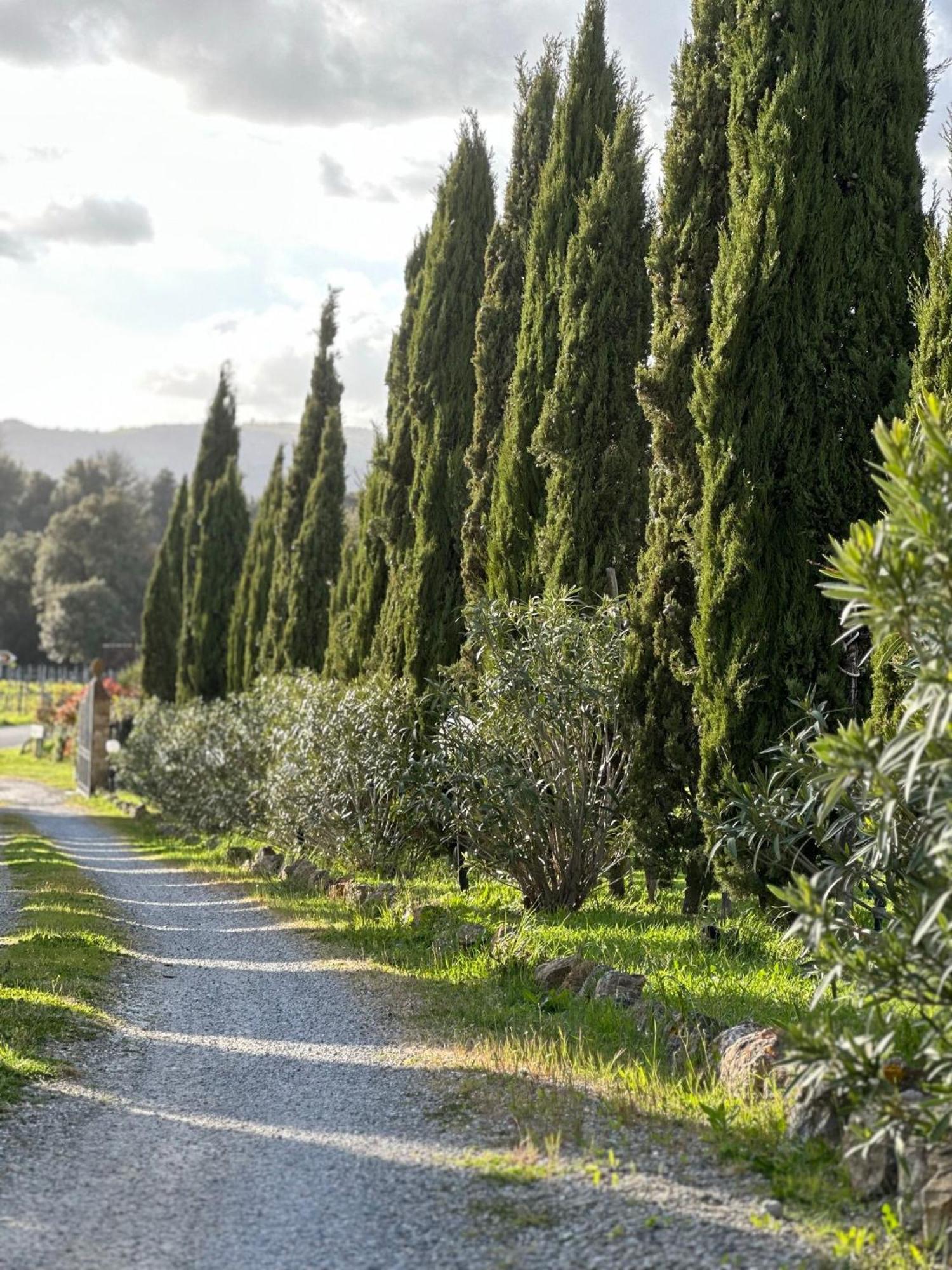 Antico Borgo Il Cardino San Gimignano Exterior foto